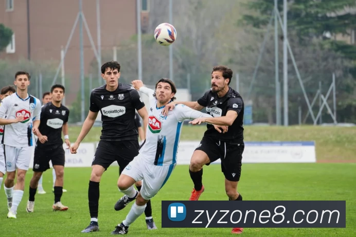 众游娱乐官网平台生态图